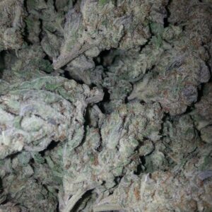 Khalifa Kush